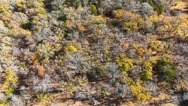 277 County Road 1170, Decatur, TX 76234