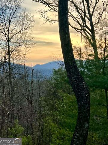 403 Barefoot Rise 49, Hiawassee, GA 30546