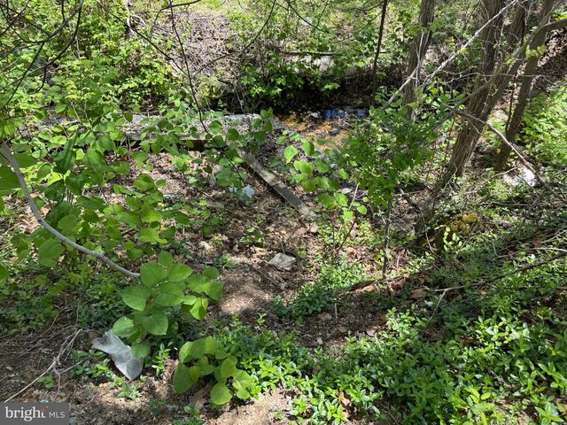 241 & 243 CAMBRIDGE ST, Fredericksburg, VA 22405