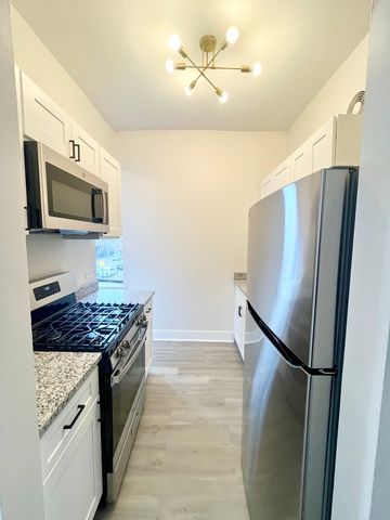 2258 S Sacramento Avenue 2B, Chicago, IL 60623