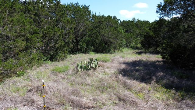 17114 Clovis, Helotes, TX 78023