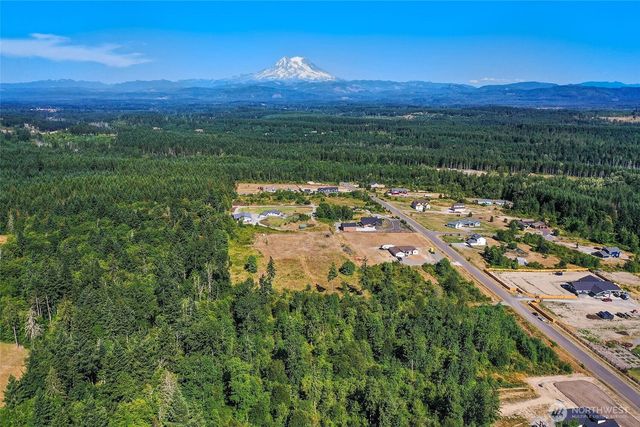 715 390th Street S, Roy, WA 98580