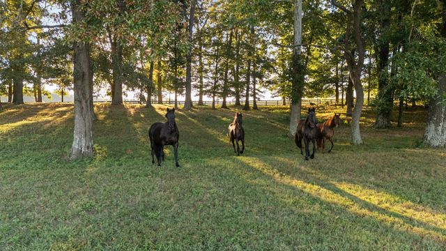 1421 Lawrence Ln, Springfield, TN 37172