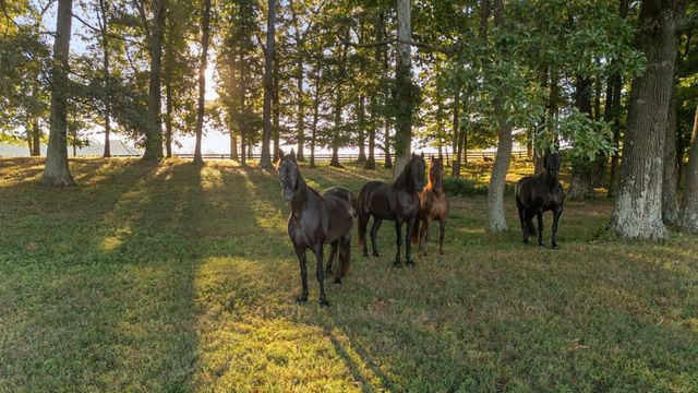 1421 Lawrence Ln, Springfield, TN 37172