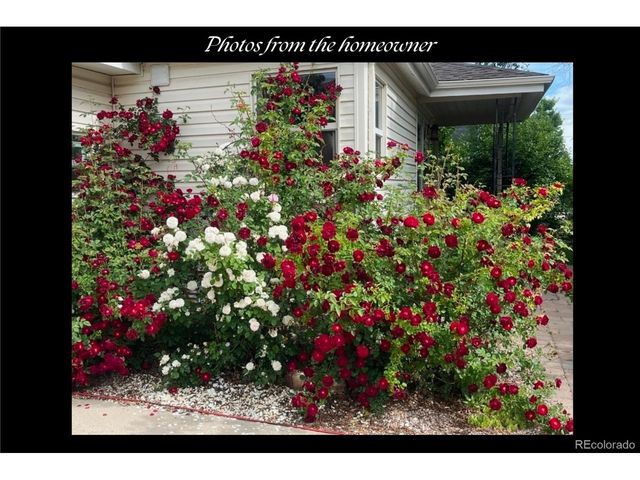 5611 S Hickory St, Littleton, CO 80120