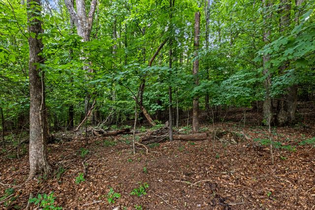 7813 Clara Chase Drive, Ooltewah, TN 37363