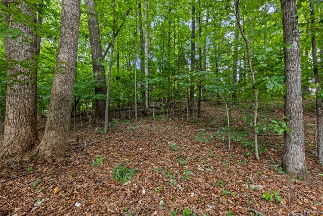 7813 Clara Chase Drive, Ooltewah, TN 37363