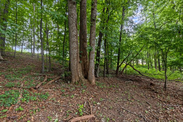 7813 Clara Chase Drive, Ooltewah, TN 37363