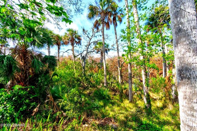 1508 Saxon Drive, New Smyrna Beach, FL 32169