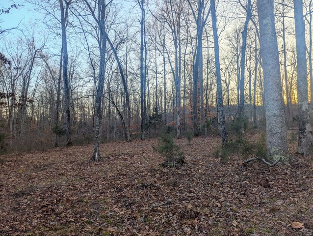 0 New Sheboss Rd, Duck River, TN 38454