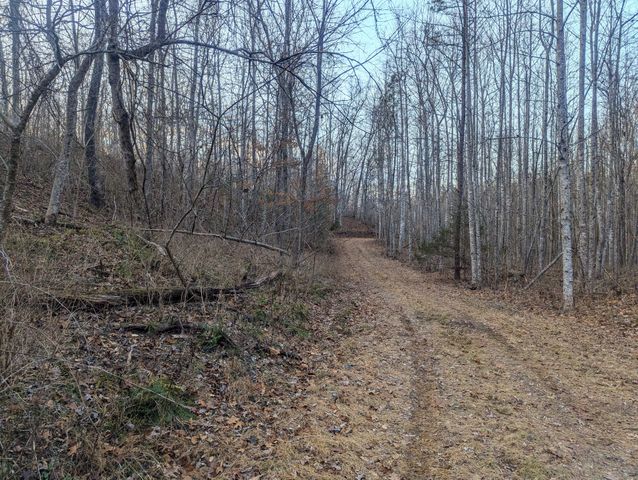 0 New Sheboss Rd, Duck River, TN 38454