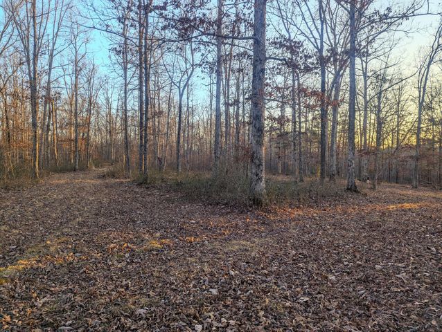 0 New Sheboss Rd, Duck River, TN 38454