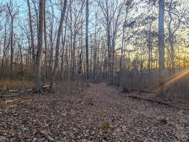 0 New Sheboss Rd, Duck River, TN 38454