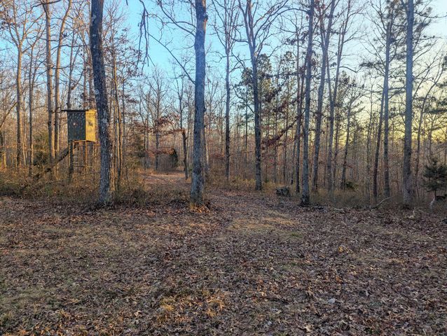 0 New Sheboss Rd, Duck River, TN 38454