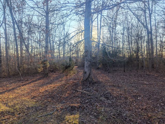 0 New Sheboss Rd, Duck River, TN 38454