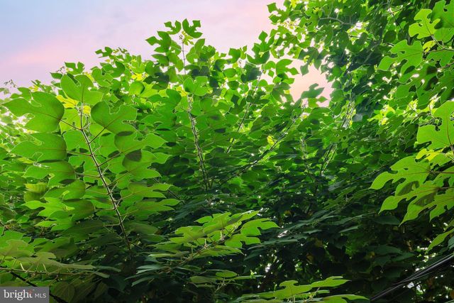 2528 CARPENTER ST, Philadelphia, PA 19146