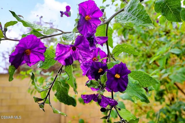 3550 Woodhaven Street, Simi Valley, CA 93063