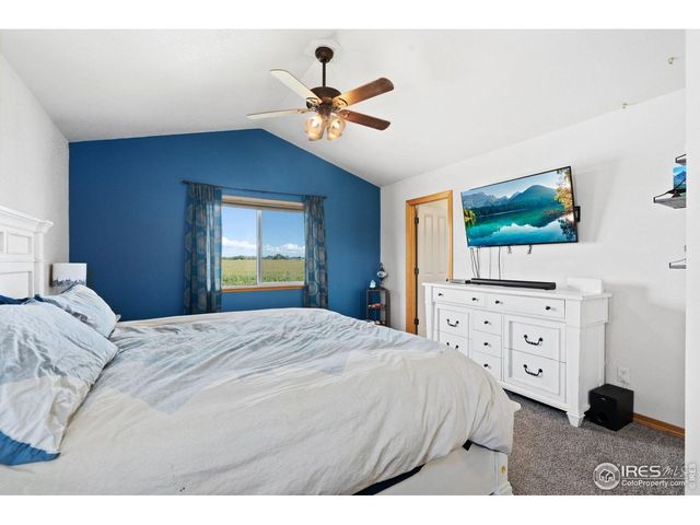 3208 Iron Horse Way, Wellington, CO 80549