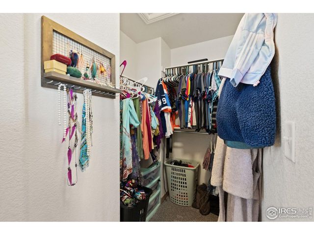 3208 Iron Horse Way, Wellington, CO 80549