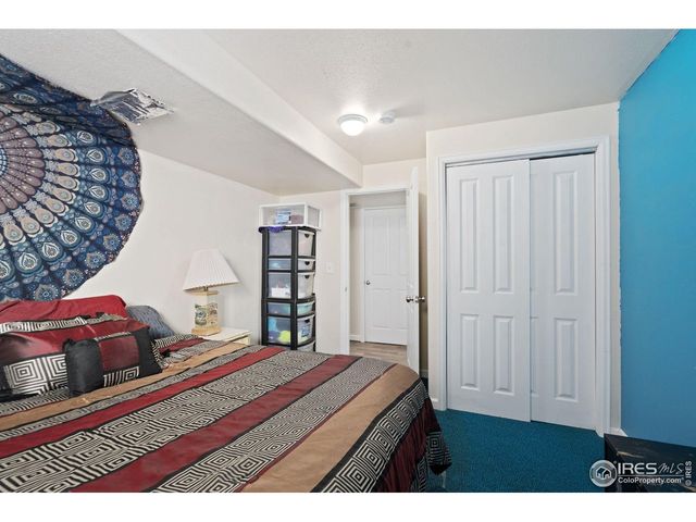 3208 Iron Horse Way, Wellington, CO 80549