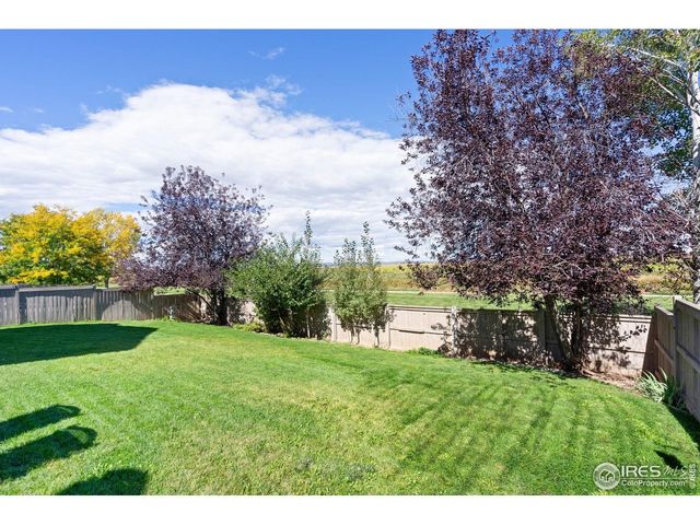 3208 Iron Horse Way, Wellington, CO 80549