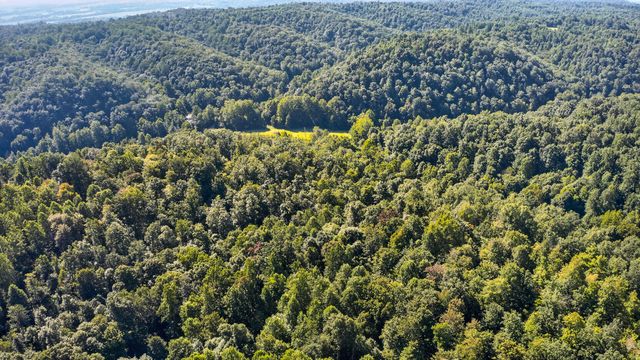 7045 White Oak Road, Junction City, KY 40440