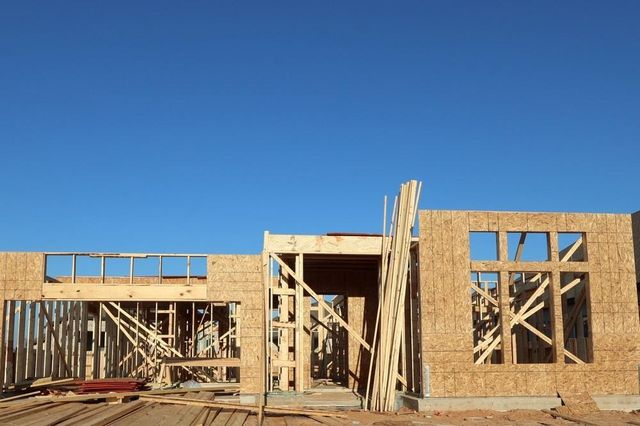 335 Wild Fork Court, Conroe, TX 77304