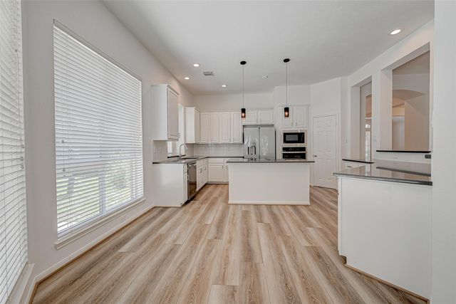 38 Tethered Vine Place, The Woodlands, TX 77382