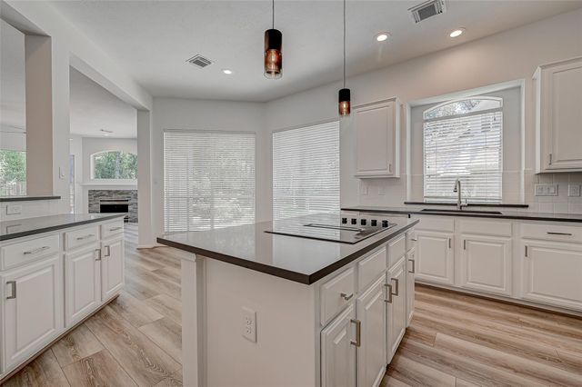 38 Tethered Vine Place, The Woodlands, TX 77382