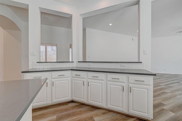 38 Tethered Vine Place, The Woodlands, TX 77382