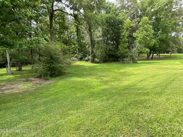 221 Pearlie Owens Drive, Byram, MS 39212