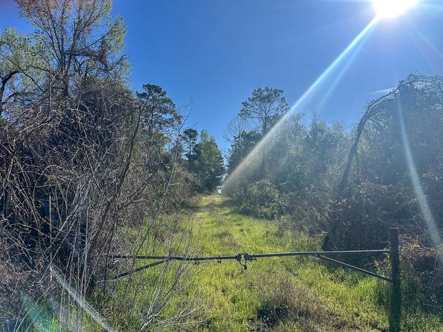 0 Fm 2610, Livingston, TX 77351