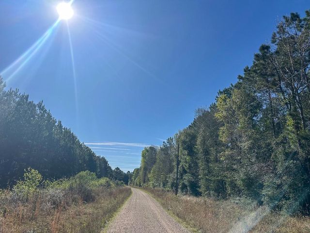 0 Fm 2610, Livingston, TX 77351