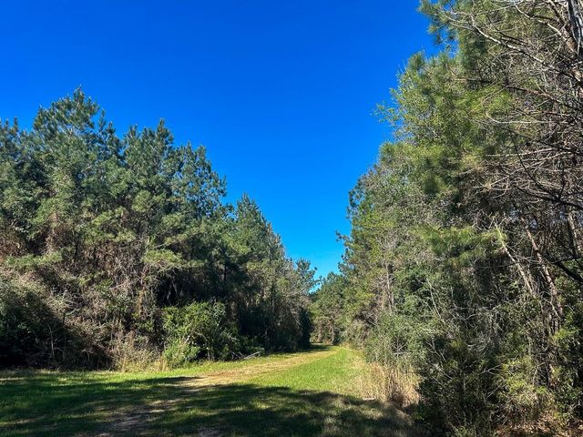 0 Fm 2610, Livingston, TX 77351