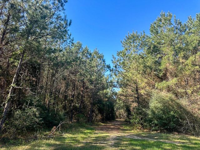 0 Fm 2610, Livingston, TX 77351