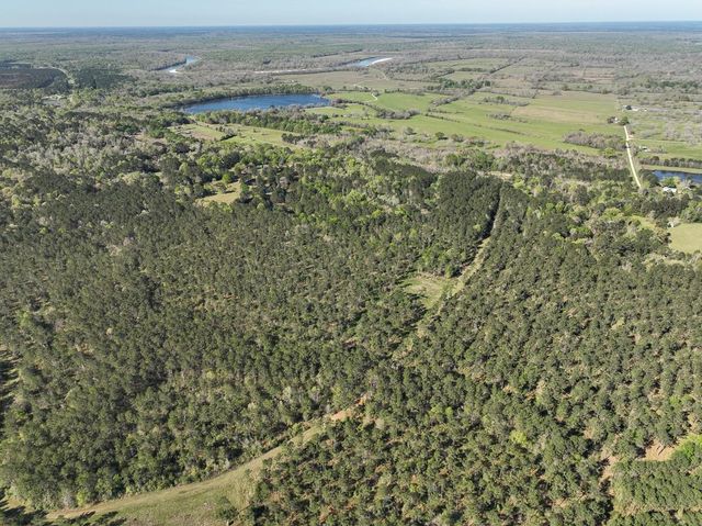 0 Fm 2610, Livingston, TX 77351