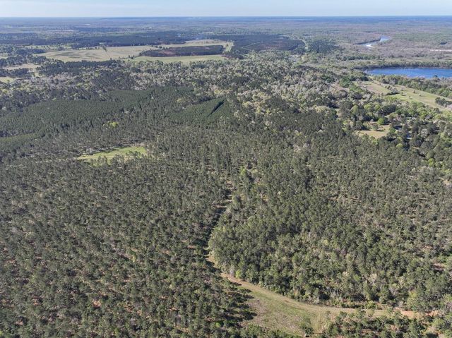0 Fm 2610, Livingston, TX 77351