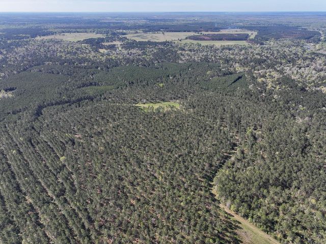 0 Fm 2610, Livingston, TX 77351