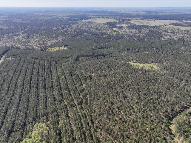 0 Fm 2610, Livingston, TX 77351
