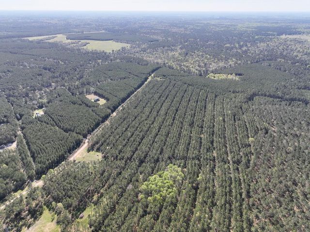 0 Fm 2610, Livingston, TX 77351