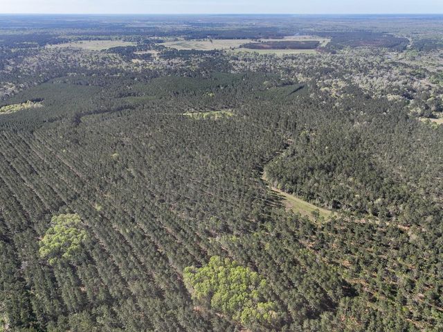 0 Fm 2610, Livingston, TX 77351