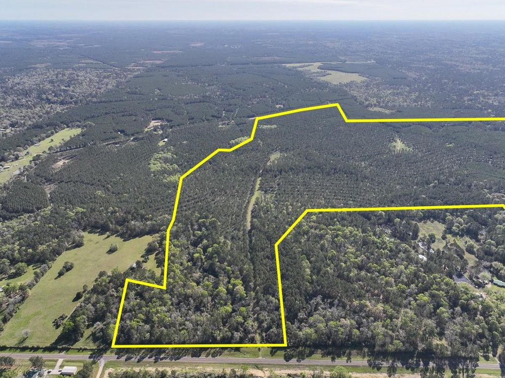 0 Fm 2610, Livingston, TX 77351