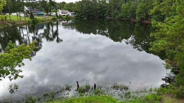 613 Skyline Drive, Batesburg-leesville, SC 29070