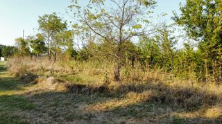 0 Jackie Lane, Lots 5-7, Owenton, KY 40359