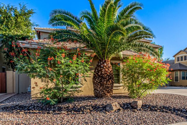 3445 E GRAND CANYON Drive, Chandler, AZ 85249