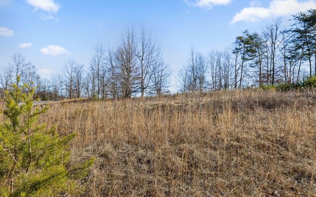 Lot 254 Roaring Creek Road, Dunlap, TN 37327