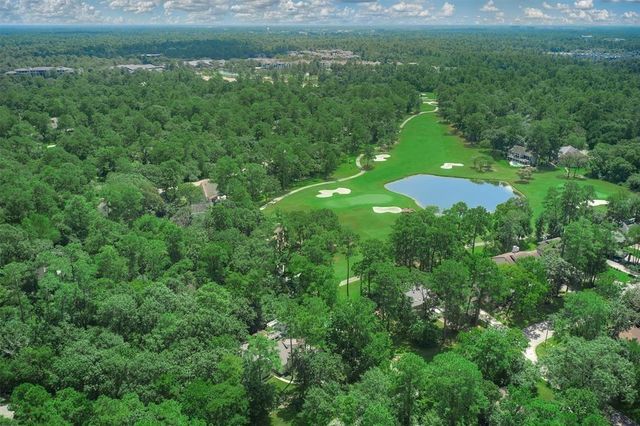 5 Berrypick Lane, The Woodlands, TX 77380