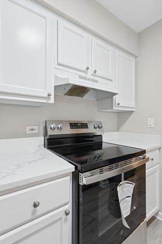 6185 Pinewood Court 202, Willowbrook, IL 60527