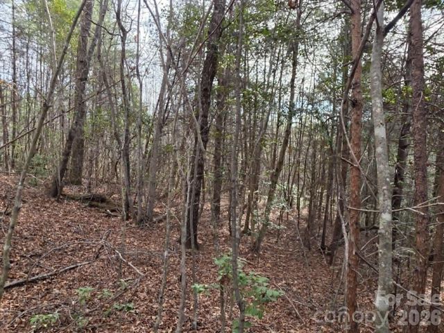 Lot 6 Kerlee Lane, Old Fort, NC 28762