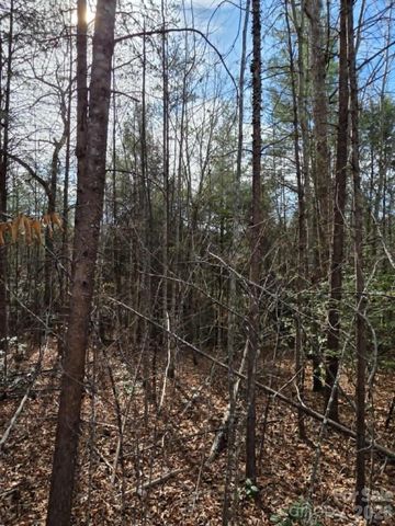 Lot 6 Kerlee Lane, Old Fort, NC 28762